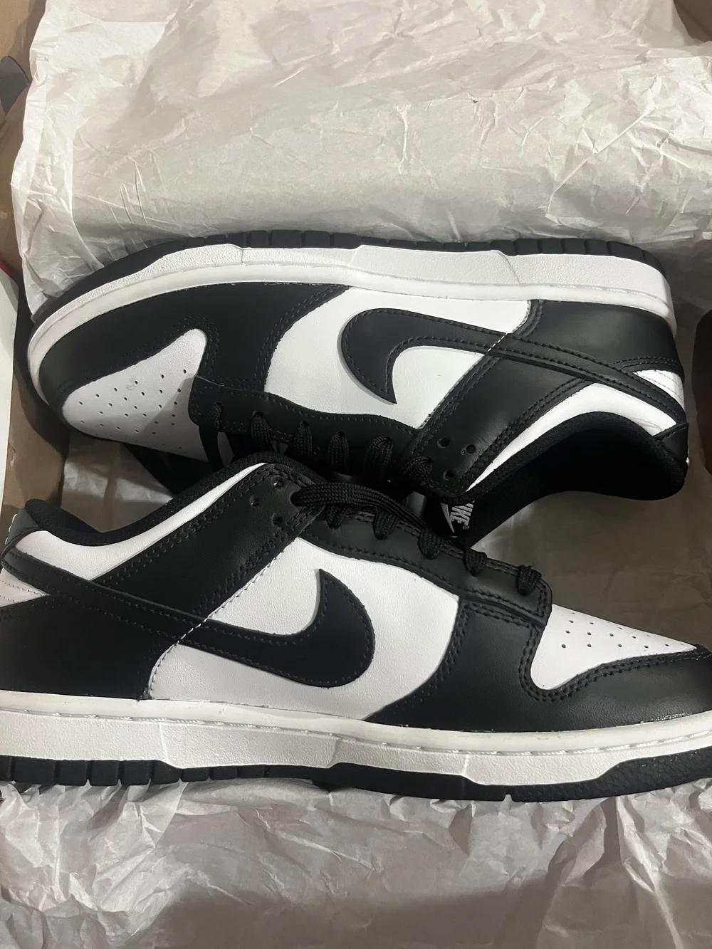 Nike Men’s Black/White Low-Top Sneakers